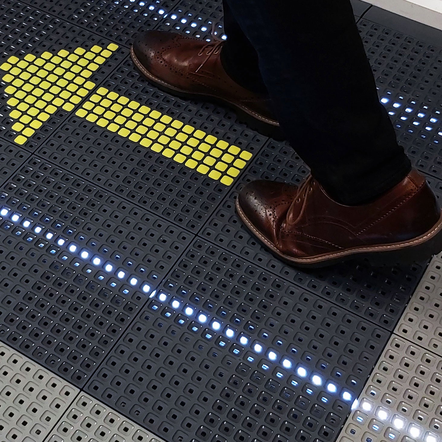 White LED Kit - 5.1m Strip | Versoflor LED versoflor-ltd